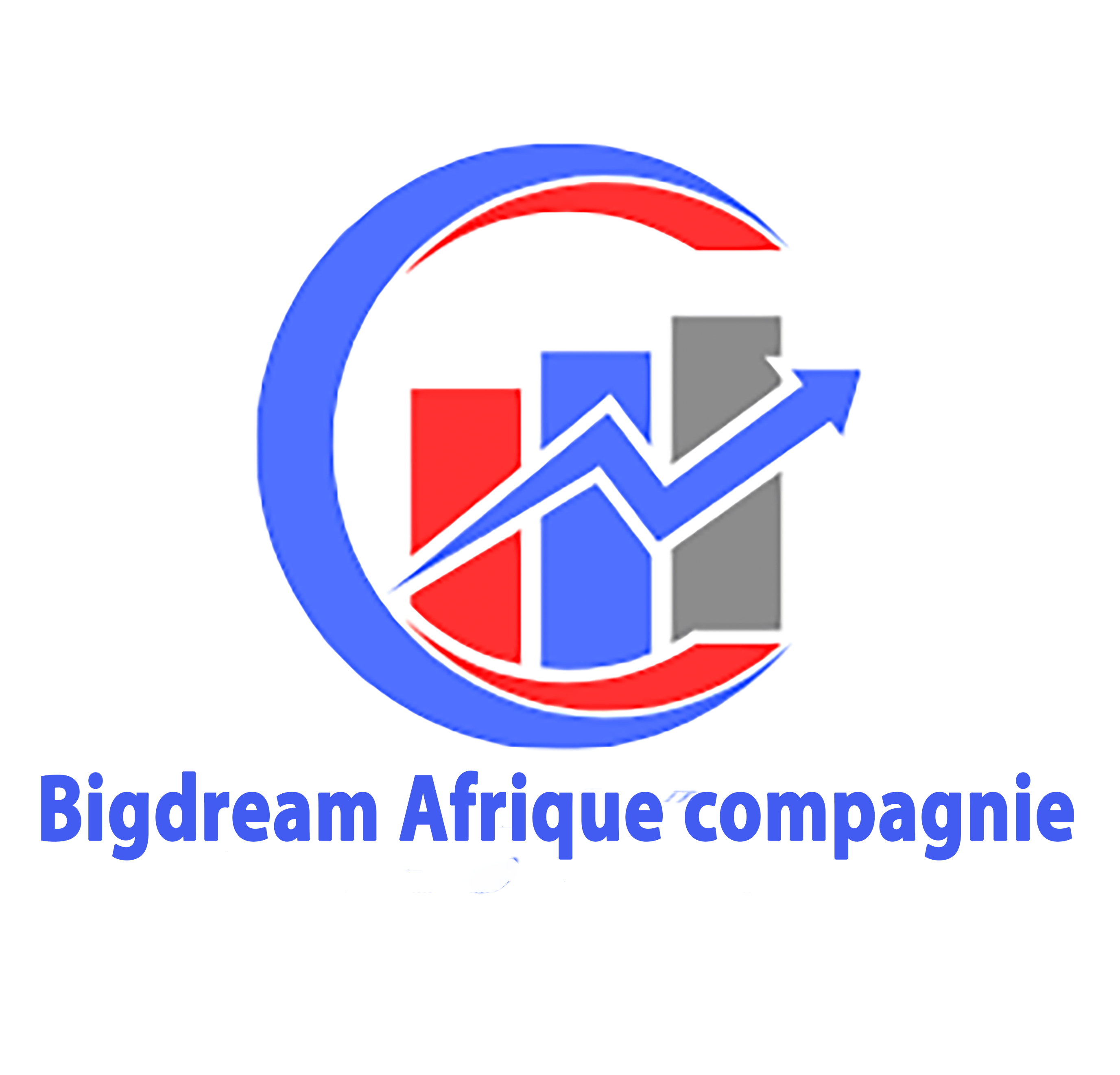 Bigdream Afrique Company